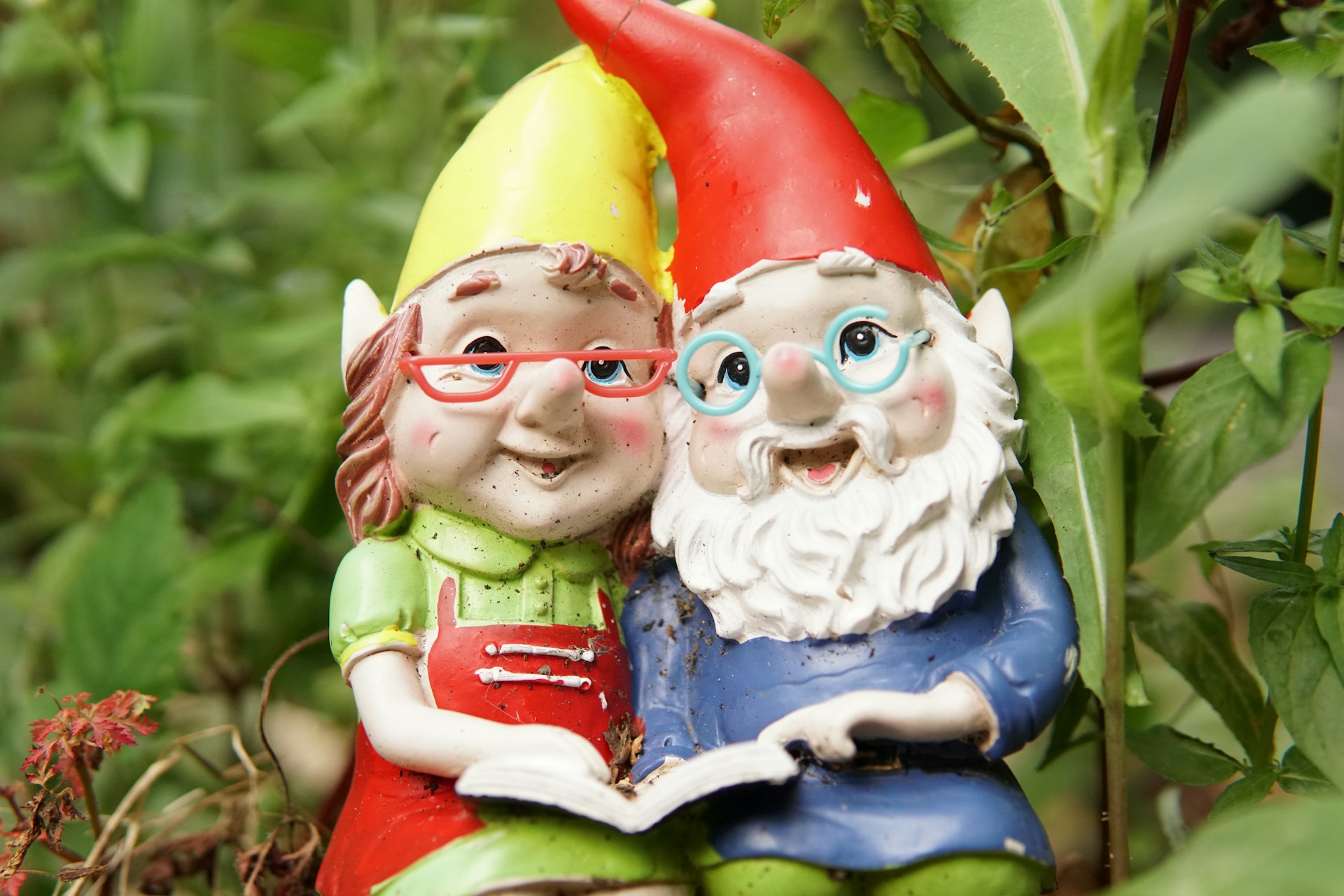 Gnome puzzles